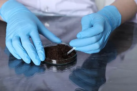Laboratory testing. Scientist working with soil sample at table indoors, cl.. Stock Photos