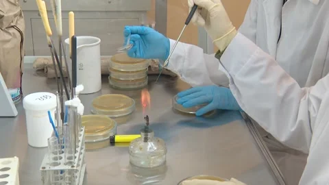 Laboratory tests. Laboratory workers conduct experiments. Stock Footage 248719307