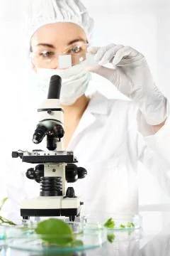 Laboratory tests Stock Photos
