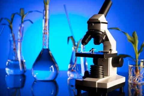 Laboratory theme. Stock Photos