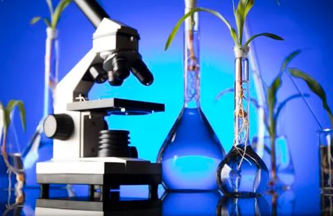 Laboratory theme. Stock Photos