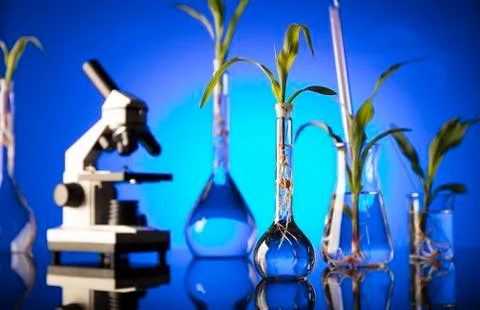 Laboratory theme. Stock Photos