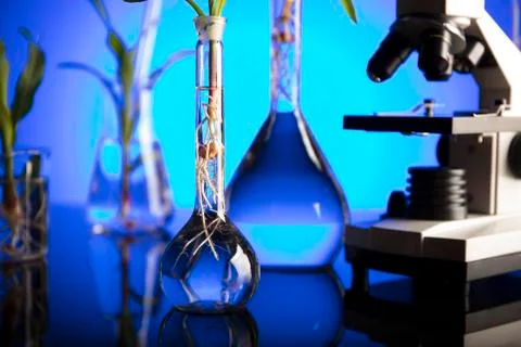 Laboratory theme. Stock Photos