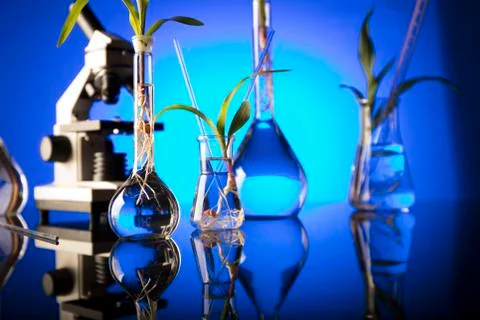 Laboratory theme. Stock Photos