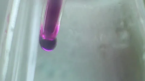 In the laboratory, a violet liquid flows out of the pipette Stockbeeldmateriaal 153900013