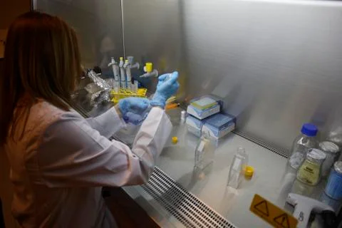 Laboratory work detail 스톡 사진