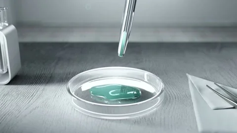 Laboratory work table. The petri dish contains biomaterials. 库存影片 229708815