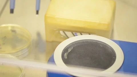 Laboratory worker checking the contents of glassware Stock-Footage 71414766