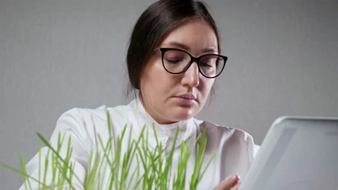 Laboratory worker controls growth of grass using tablet PC Stock Footage 167148041