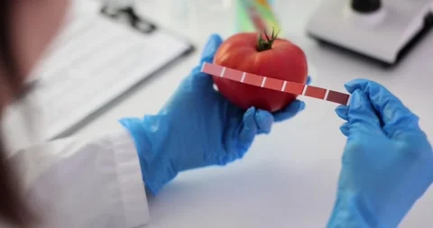 Laboratory worker holds tomato comparing color with pallet Stock Footage 277396425