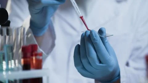 Laboratory worker preparing slide with blood samples, creating new vaccine Stock Photos