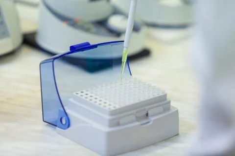 Laboratory worker puts samples into a tray making analysis for immunity viruses Stock Photos