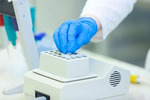Laboratory worker puts samples into a tray making analysis for immunity viruses Stock Photos