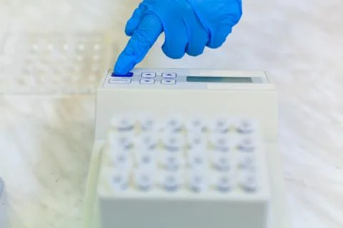 Laboratory worker puts samples into a tray making analysis for immunity viruses Stock Photos