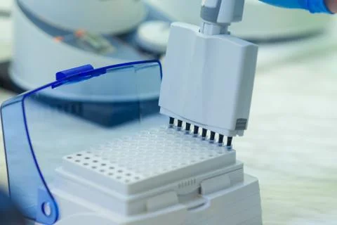 Laboratory worker puts samples into a tray making analysis for immunity viruses Stock Photos