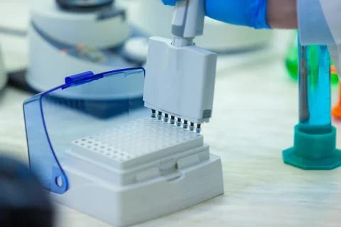 Laboratory worker puts samples into a tray making analysis for immunity viruses Stock Photos