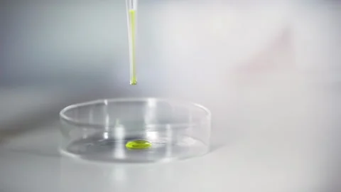 Laboratory worker scientist adding pipette dropping a colored liquid to petri Stock Footage 329001617