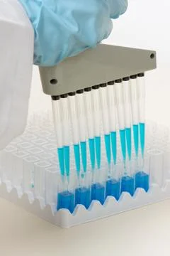Laboratory worker using pipette. Stock Photos