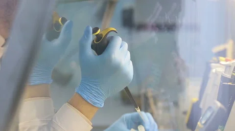 Laboratory workplace for DNA test Stock Footage