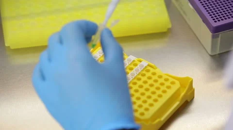 Laboratory workplace for DNA test Stock Footage 58273974