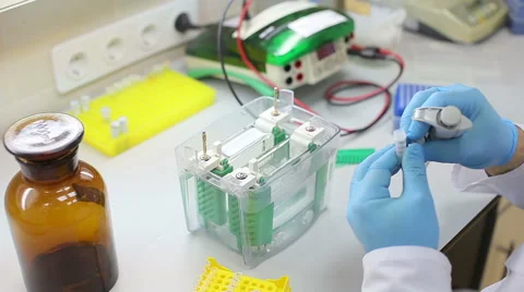 Laboratory workplace for DNA test Stock Footage 58274123