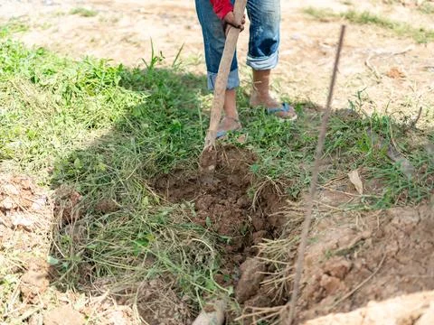 A laborer breaking ground and digging dirt with a spade or hoe tool in a ru.. Stock Photos
