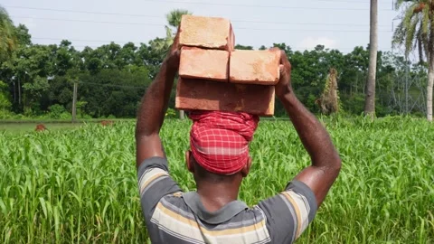 Laborer Carrying Bricks Stock Footage 335218011