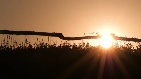 Laborer going home after hard work on sunset background backlight. Agriculture Stock Footage 107865415