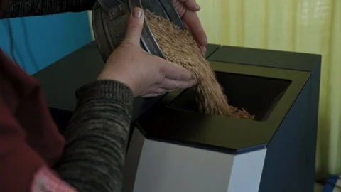 Laborer pours wheat grain into the device for analyze quality of crops in 库存影片 98110355