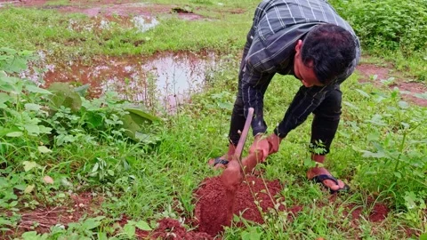 Laborer working in field clears dug earth with palm 動画素材 314177847