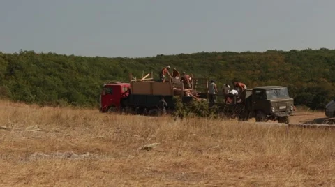 Laborers are Loading Wood Materials to the Truck Stock-Footage 54463626