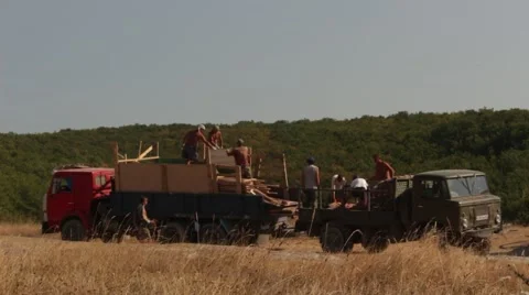 Laborers are Loading Wood Materials to the Truck Stock Footage 54463628