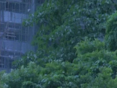 Labors work at the site of an under-construction building Stock Footage 79877066