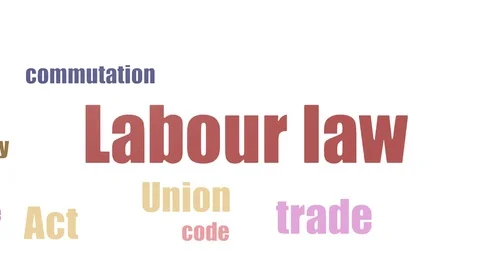 Labour Law Tagcloud Animated Isolated Vidéo 103096927