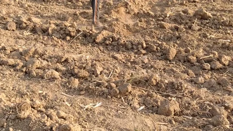 A labourer is doing the work in the field. Stock Footage 143719339