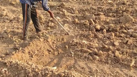 A labourer is doing the work in the field. Stock Footage 143719350