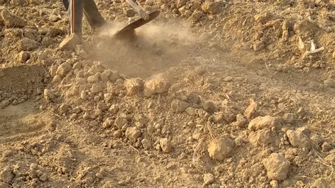 A labourer is doing the work in the field. Stock Footage 143719371