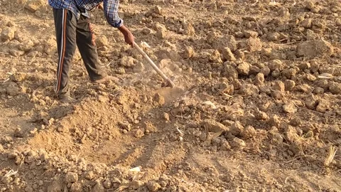 A labourer is doing the work in the field. Video stock 143719399