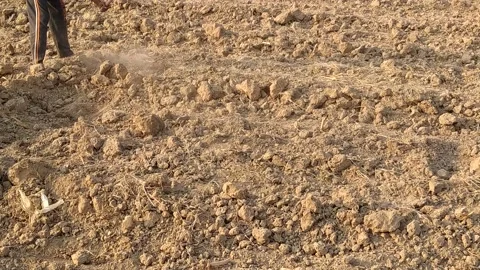 A labourer is doing the work in the field. Stock Footage 143719404