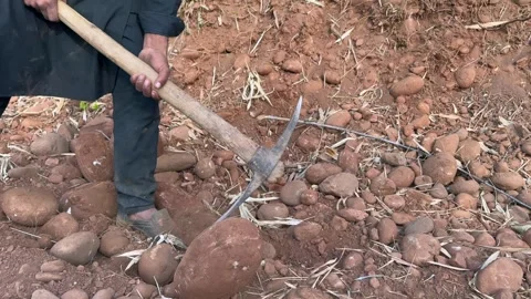 Labourers at work Stock Footage 324511396