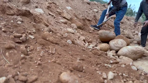 Labourers at work Video stock 324512831