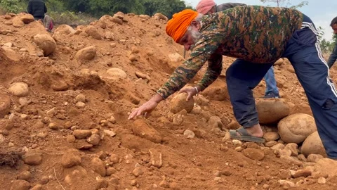 Labourers at work Stock Footage 324512857
