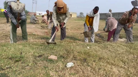 Labourers at work Video stock 324513536