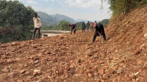 Labourers at work Video stock 324513901