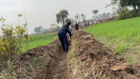 Labourers at work Stock Footage 324513928