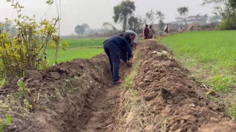 Labourers at work Stock Footage 324513944