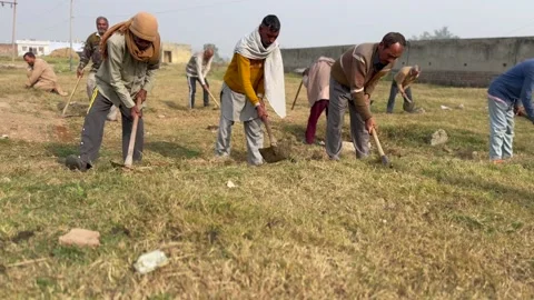 Labourers at work Stock Footage 324513945