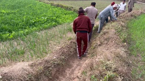Labourers at work Video stock 324514073