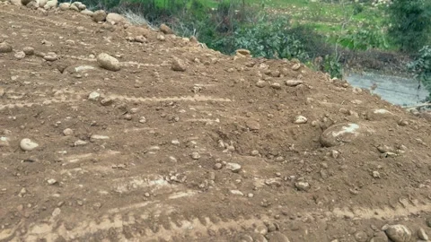 Labourers at work Video stock 324514081