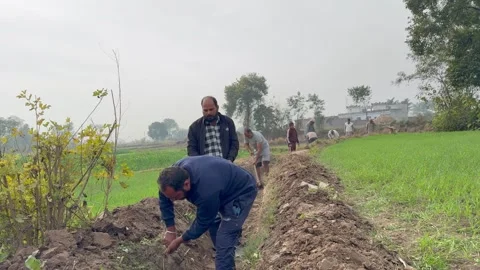 Labourers at work Stock Footage 324514094